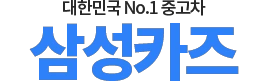 아반떼중고 로고